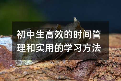 ��������Ч�ĕr�g�����͌��õČW������