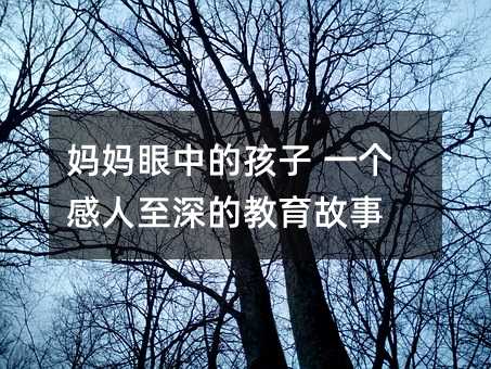 媽媽眼中的孩子 一個感人至深的教育故事