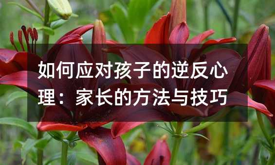 ��Α������ӵ��淴���������L�ķ����c����