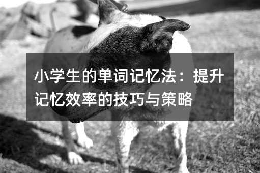 小學生的單詞記憶法:提升記憶效率的技巧與策略