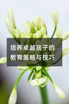 ���B׿Խ���ӵĽ��������c����