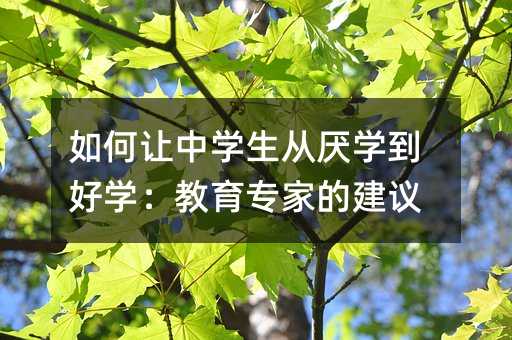 ���׌�ЌW(xu��)���ą��W(xu��)���ÌW(xu��)���������ҵĽ��h