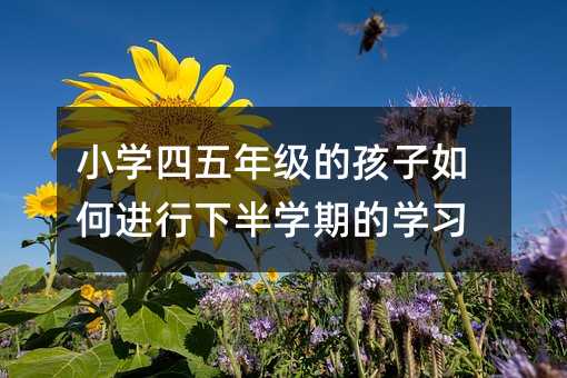 小學四五年級的孩子如何進行下半學期的學習