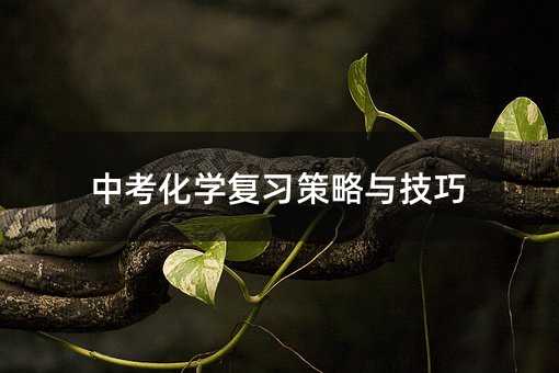 中考化學(xué)復(fù)習(xí)策略與技巧