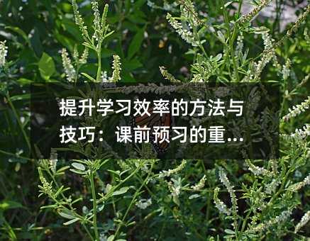 �����W��Ч�ʵķ����c���ɣ��nǰ�A������Ҫ��