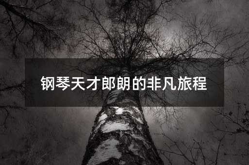 ���������ʵķǷ��ó�