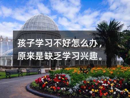 ���ӌW��������ô�k��ԭ����ȱ���W���dȤ��