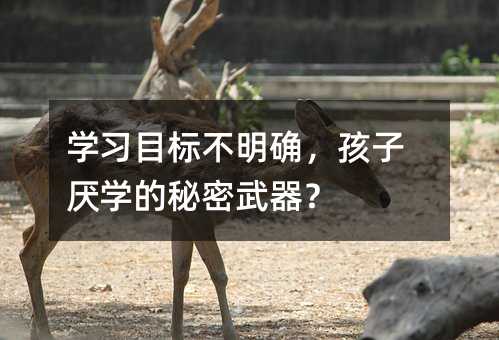 �W(xu��)��(x��)Ŀ��(bi��o)�����_�����Ӆ��W(xu��)������������