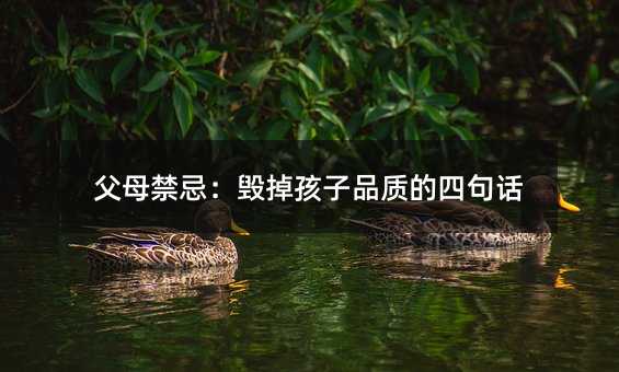 ��ĸ���ɣ���������Ʒ�|���ľ�Ԓ