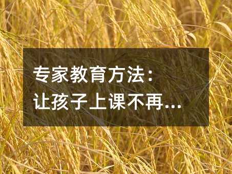 專家教育方法: 讓孩子上課不再走神