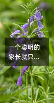 һ�����ļ��L��ֻ�̽o���Ӱ˼���