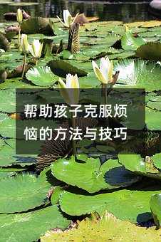 �������ӿ˷������ķ����c����