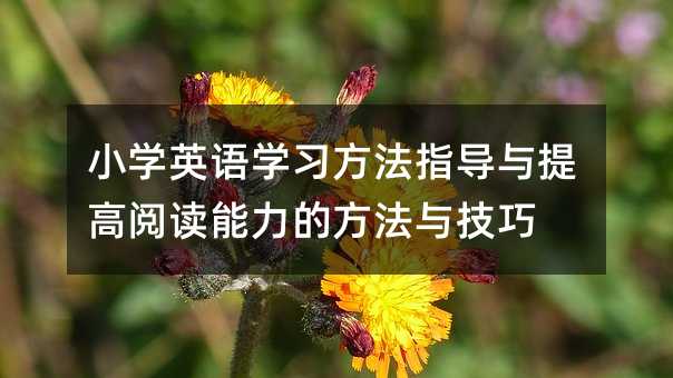 小學(xué)英語學(xué)習(xí)方法指導(dǎo)與提高閱讀能力的方法與技巧