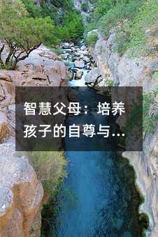 智慧父母:培養孩子的自尊與自信