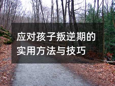 �������������ڵČ��÷����c����