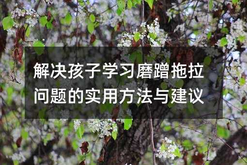 ��Q���ӌW��ĥ���������}�Č��÷����c���h