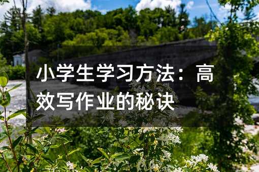 С�W���W����������Ч�����I�����E