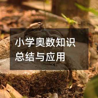 小學奧數知識總結與應用