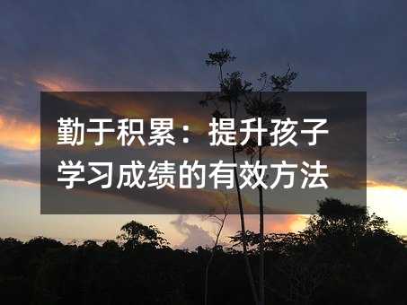 勤于積累:提升孩子學(xué)習(xí)成績的有效方法