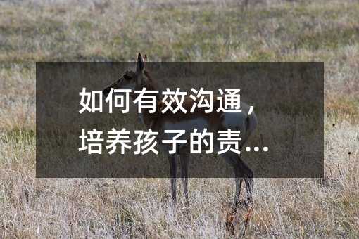 �����Ч��ͨ�����B(y��ng)���ӵ�؟(z��)�θ�