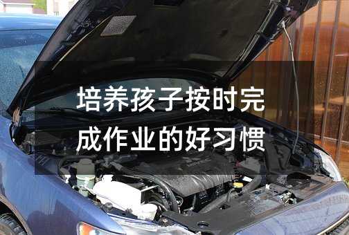 培養孩子按時完成作業的好習慣