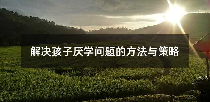 ��Q���Ӆ��W(xu��)��(w��n)�}�ķ����c����