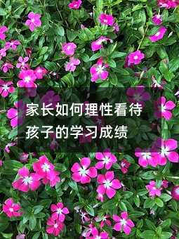 家長如何理性看待孩子的學習成績