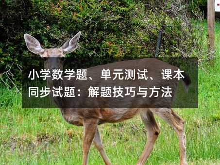 小學數學題、單元測試、課本同步試題:解題技巧與方法