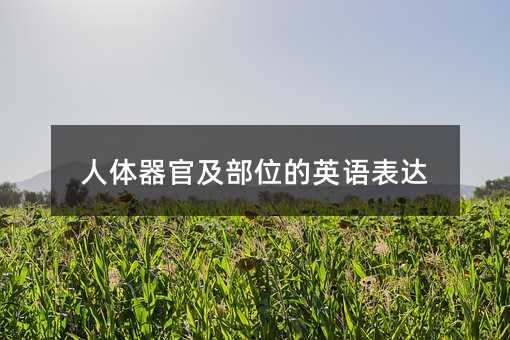 ���w���ټ���λ��Ӣ�Z���_