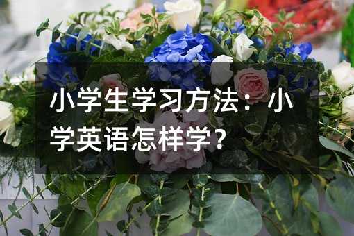 С�W(xu��)���W(xu��)��(x��)������С�W(xu��)Ӣ�Z���ӌW(xu��)��