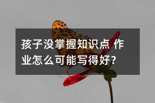 孩子沒掌握知識點 作業怎么可能寫得好?