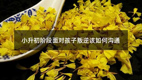 С�����A���挦��������ԓ��Μ�ͨ