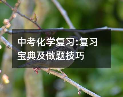 中考化學(xué)復(fù)習(xí):復(fù)習(xí)寶典及做題技巧