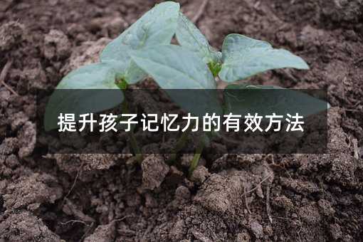 提升孩子記憶力的有效方法