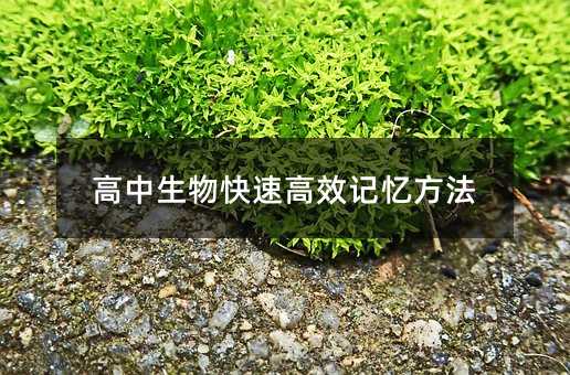 ����������ٸ�Чӛ������