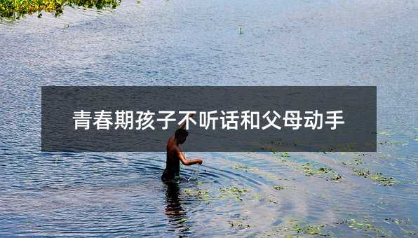 �ഺ�ں��Ӳ� (t��ng)Ԓ(hu��)�͸�ĸ��(d��ng)��