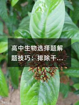 高中生物選擇題解題技巧:排除干擾信息與精準(zhǔn)解題