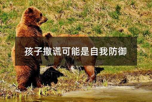 孩子撒謊可能是自我防御