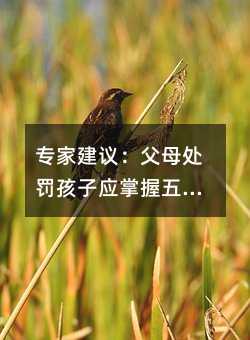 ���ҽ��h����ĸ̎�P���ӑ�(y��ng)��������E�[