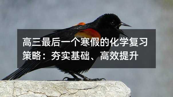 高三最后一個寒假的化學復習策略:夯實基礎、高效提升