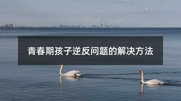 �ഺ�ں����淴���}�Ľ�Q����