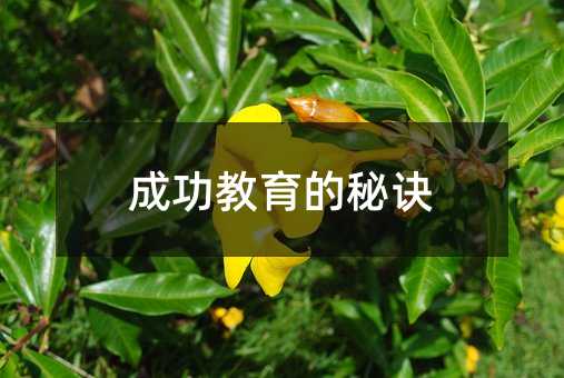 �ɹ����������E