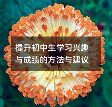 提升初中生學習興趣與成績的方法與建議