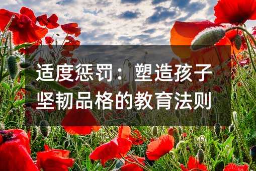 適度懲罰:塑造孩子堅韌品格的教育法則