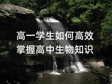 高一學生如何高效掌握高中生物知識