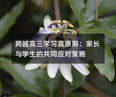 跨越高三學(xué)習(xí)高原期:家長與學(xué)生的共同應(yīng)對策略