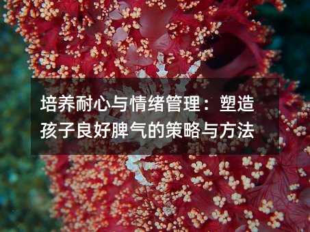 培養(yǎng)耐心與情緒管理:塑造孩子良好脾氣的策略與方法
