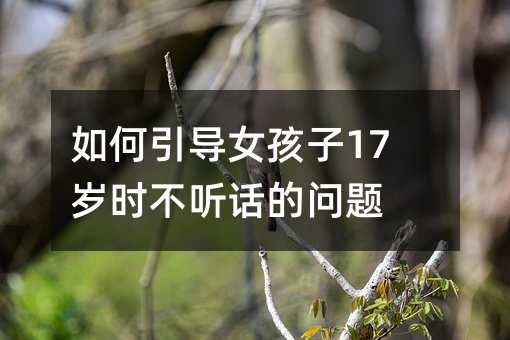 �������Ů����17�q�r�� Ԓ�Ć��}