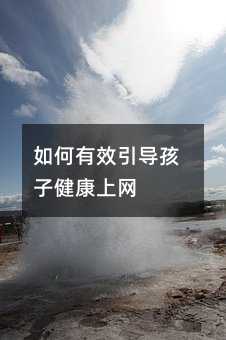 �����Ч�������ӽ����ϾW