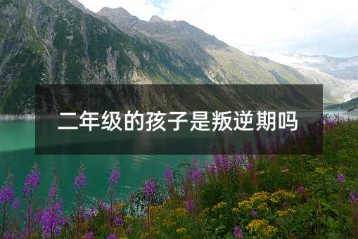 ���꼉�ĺ����������چ�